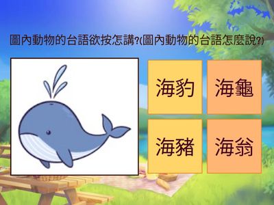 康軒9-4台灣美麗的海翁