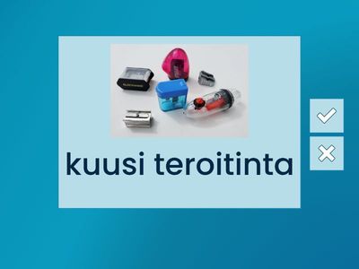 How many? Numbers and plural. (Finnish - English)