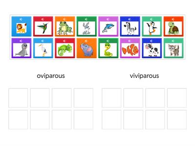 U.4. :OVIPAROUS   VIVIPAROUS