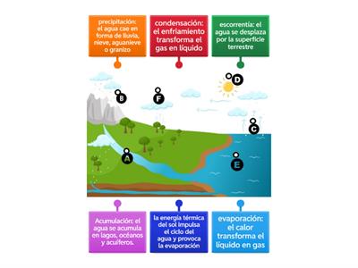 Span_C8L3: Water Cycle Diagram (4.10A, 5.10A)