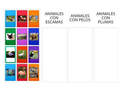 ANIMALES