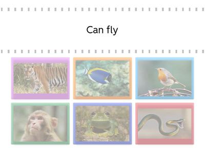 Actions (can/cant') + Image animal