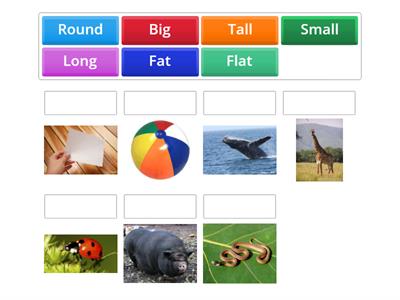 adjectives size and shape