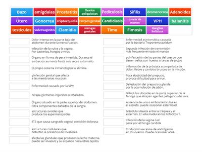 Formativa Trimestral 8°