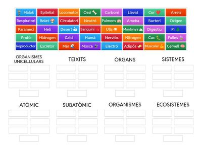 Nivell d'organització dels organismes vius
