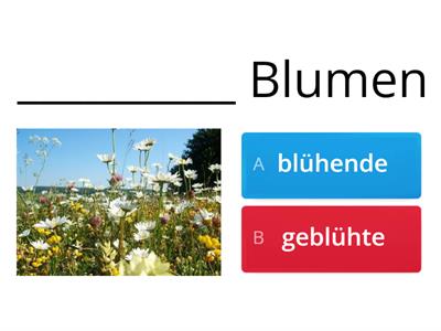 Partizip 1 oder 2? 