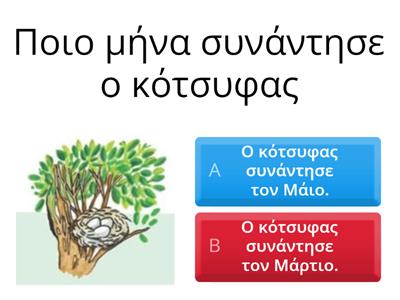 Γεια σου κότσυφα! (Ενότητα 8η) - Ερωτήσεις κατανόησης