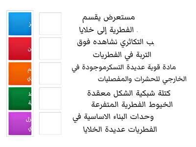 الفطريات