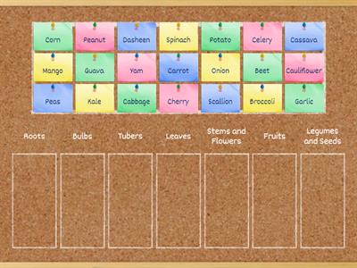 Classification of Vegetables