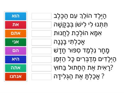 התאמת משפט לשם גוף