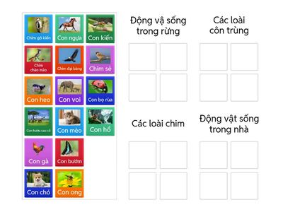 Phân loại các nhóm động vật