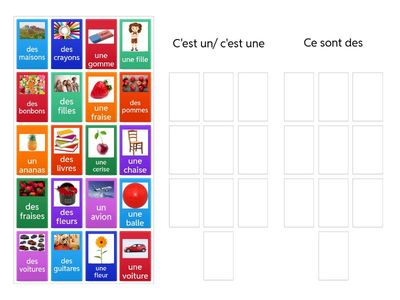 C'est un/ une Ce sont des