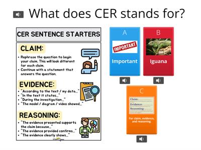 CER graphic organizer