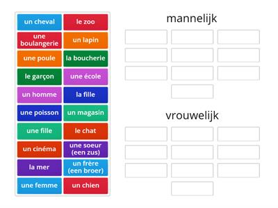 Onbepaalde en bepaalde lidwoorden - m of v?