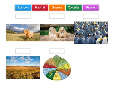 A Home in the Prairie