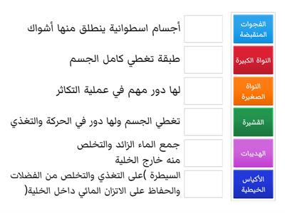 تركيب البراميسيوم