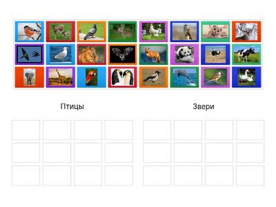 кто такие звери