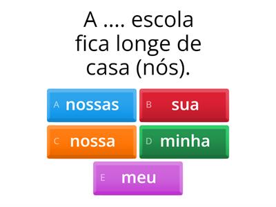 Pronomes possessivos