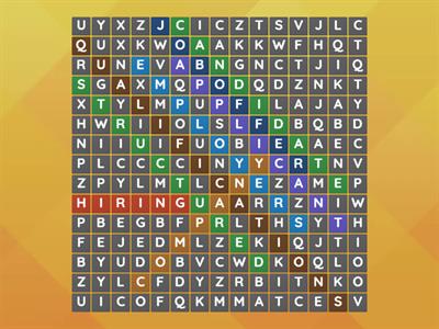 Introduction to Job Interview