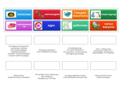 Үнділер үйде осылай синады.