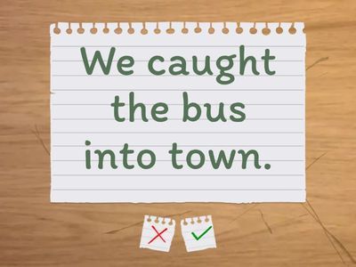 Correct the sentences: past simple