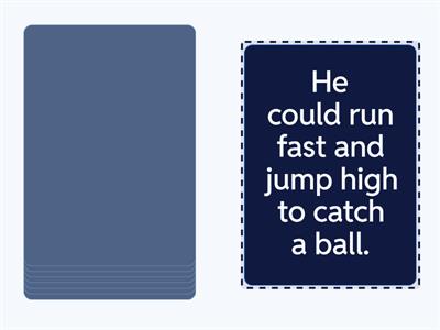 The Roberto Clemente Story - Declarative Sentences