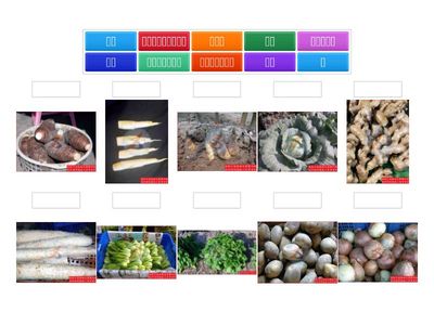 5號 蔬果(蘿蔔--菠菜)