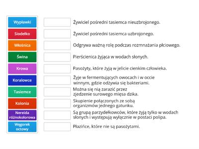 Od parzydełkowców do pierścienic klasa 6