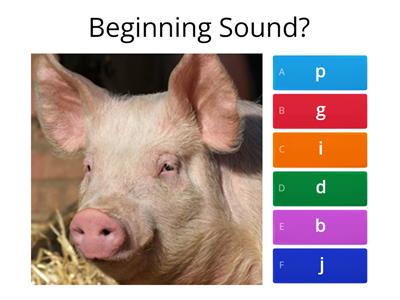 Initial Sounds Assessment 