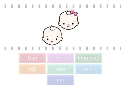 Bộ phận trên mặt