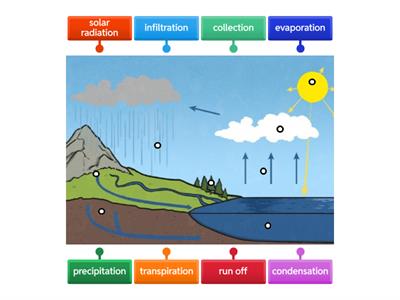 Label The Water Cycle