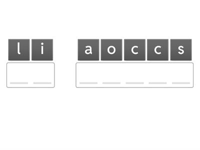 Lo sciatore- anagram