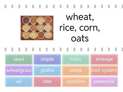 Patagonia-Land Institute