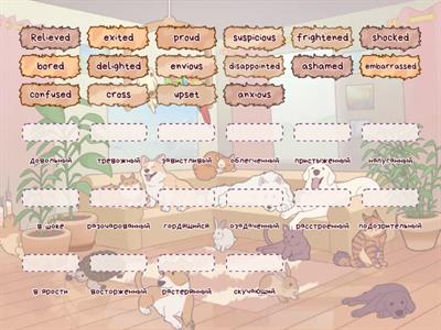 Emotions Solution Pre Int