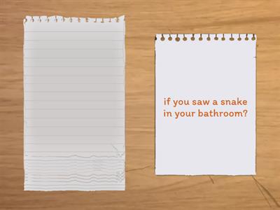 If second conditional 