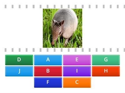 Letter of the alphabet