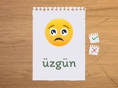 Turkish emotions/duygular