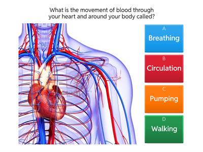 FF5 Unit 9 - Breathing and circulation quiz