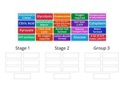 HHB Topic 1.7 Cellular Respiration