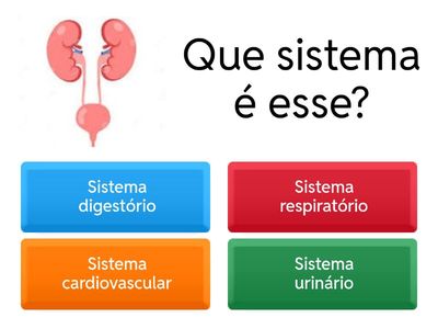  Que sistema é esse?