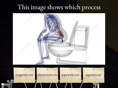 Egestion Vs excretion