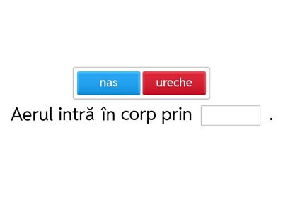 Anatomia sistemului respirator - fișă pentru elevii cu cerințe educaționale speciale