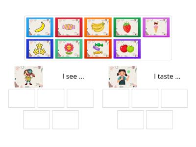 Sort Out - Five Senses