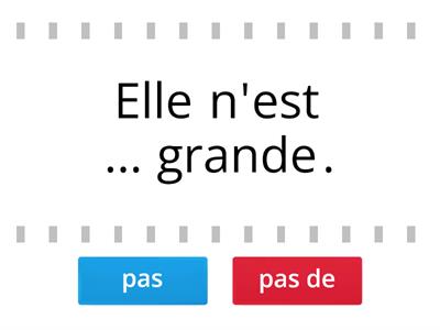 Négation "pas" ou "pas de"?