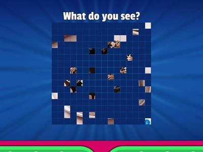 What do you see? (adjectives)