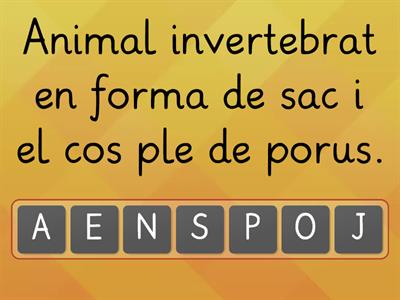 ELS ANIMALS INVERTEBRATS