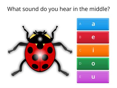  Short Vowel Sounds: Find the Middle Sound