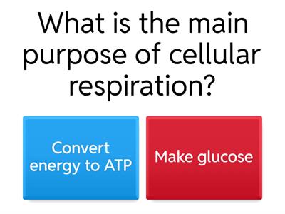 Cellular Respiration Quiz
