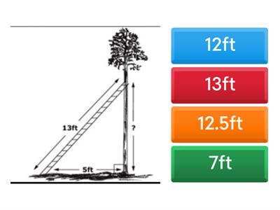 Pythagorean Theorem Assessment