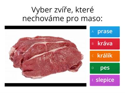 Hospodářská zvířata 2. ročník
